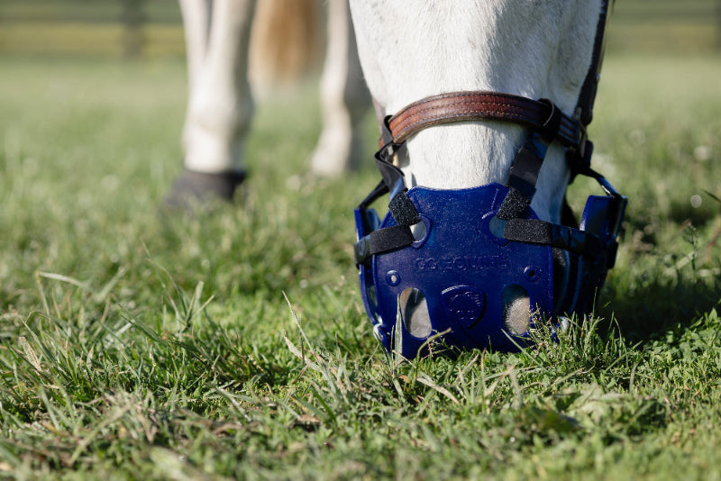 ERGO Graze™ Grazing Muzzle