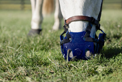 ERGO Graze™ Grazing Muzzle