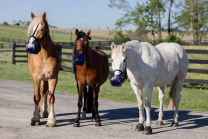 ERGO Graze™ Grazing Muzzle