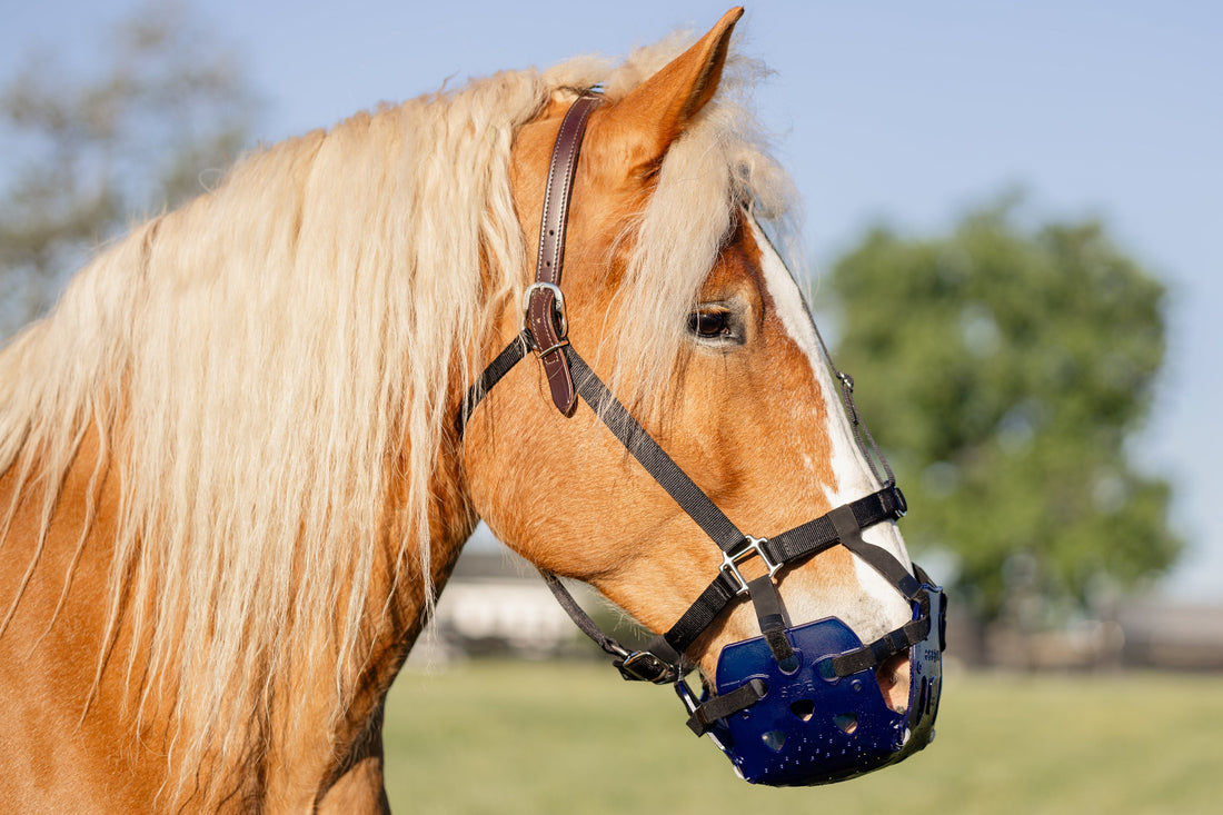 ERGO Graze™ Grazing Muzzle