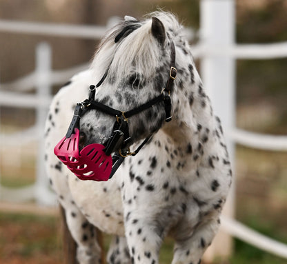 Mini &amp; Small Pony Halters