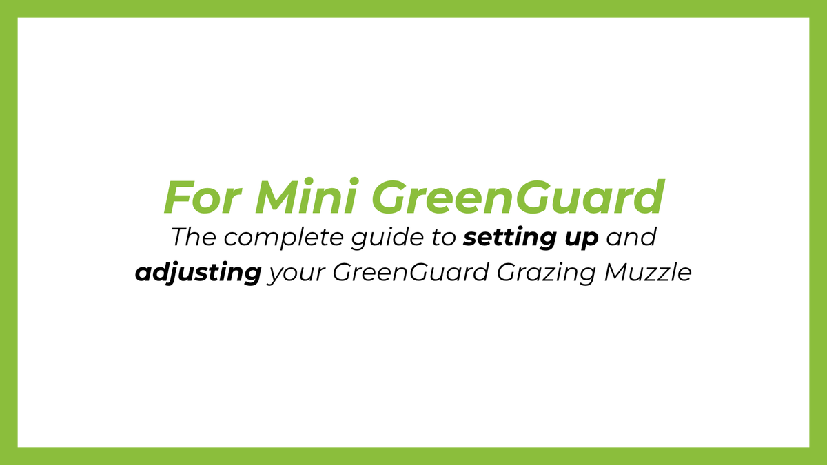 Load video: The complete fit and set up guide for mini size GreenGuard grazing muzzles