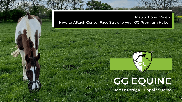 Halter Face Strap Replacement GG Equine