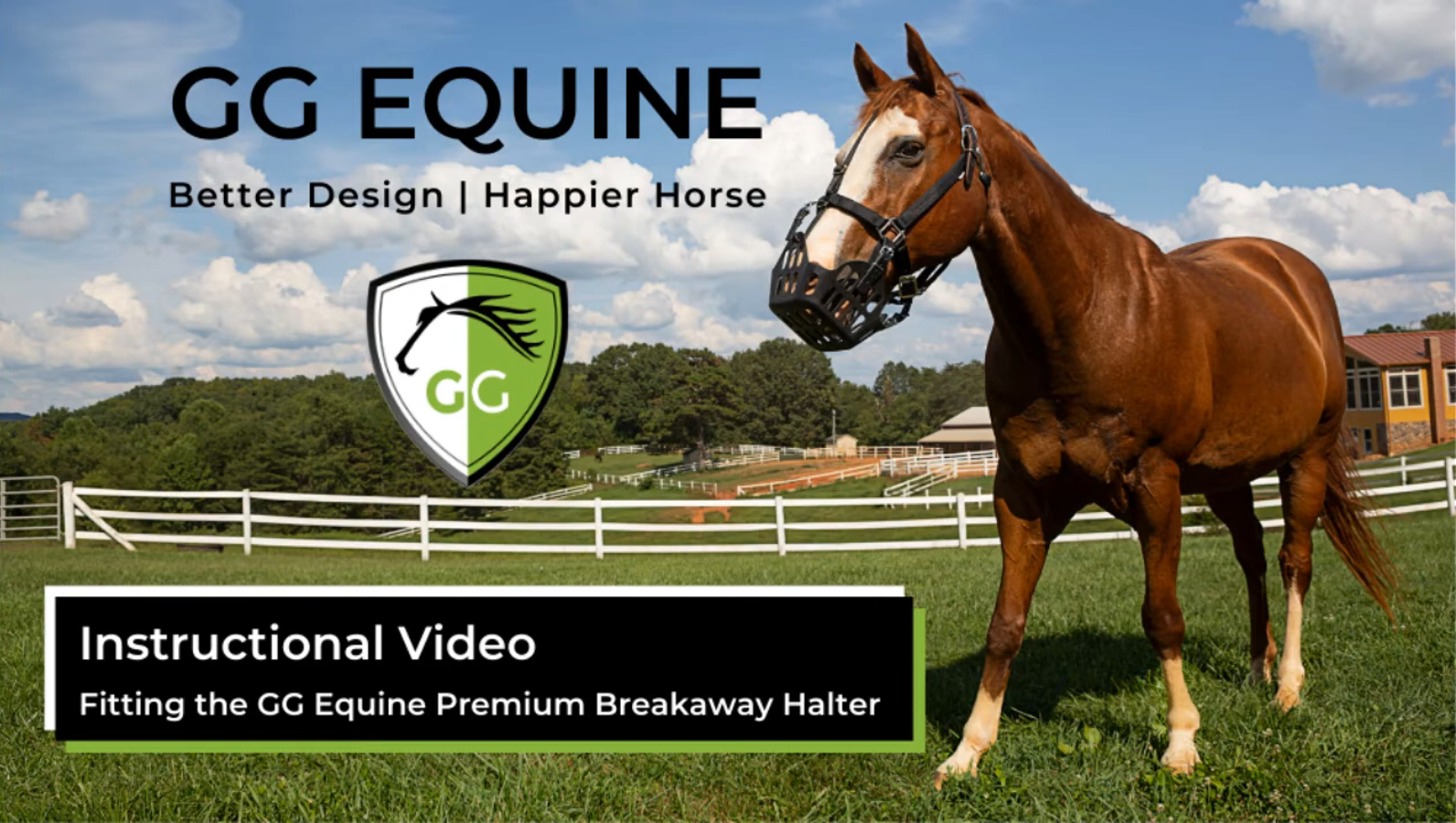 Load video: How to fit the GG Equine Premium Breakaway Safety Halter for Horses