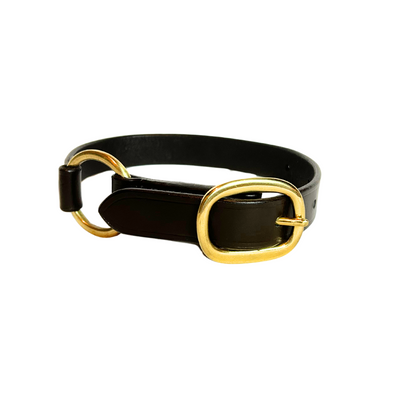 A loop of leather with a metal ring and buckle. It is a dog collar. 