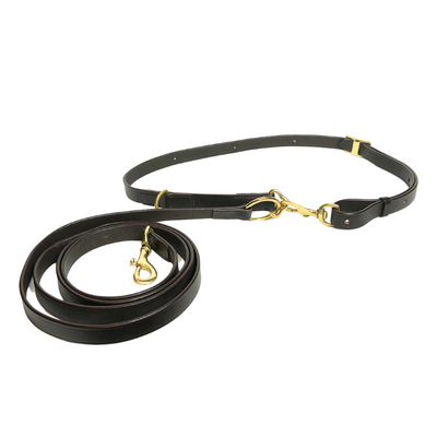Two extended lengths of leather, connected by a metal ring and clasp. It is a dog leash and collar. 