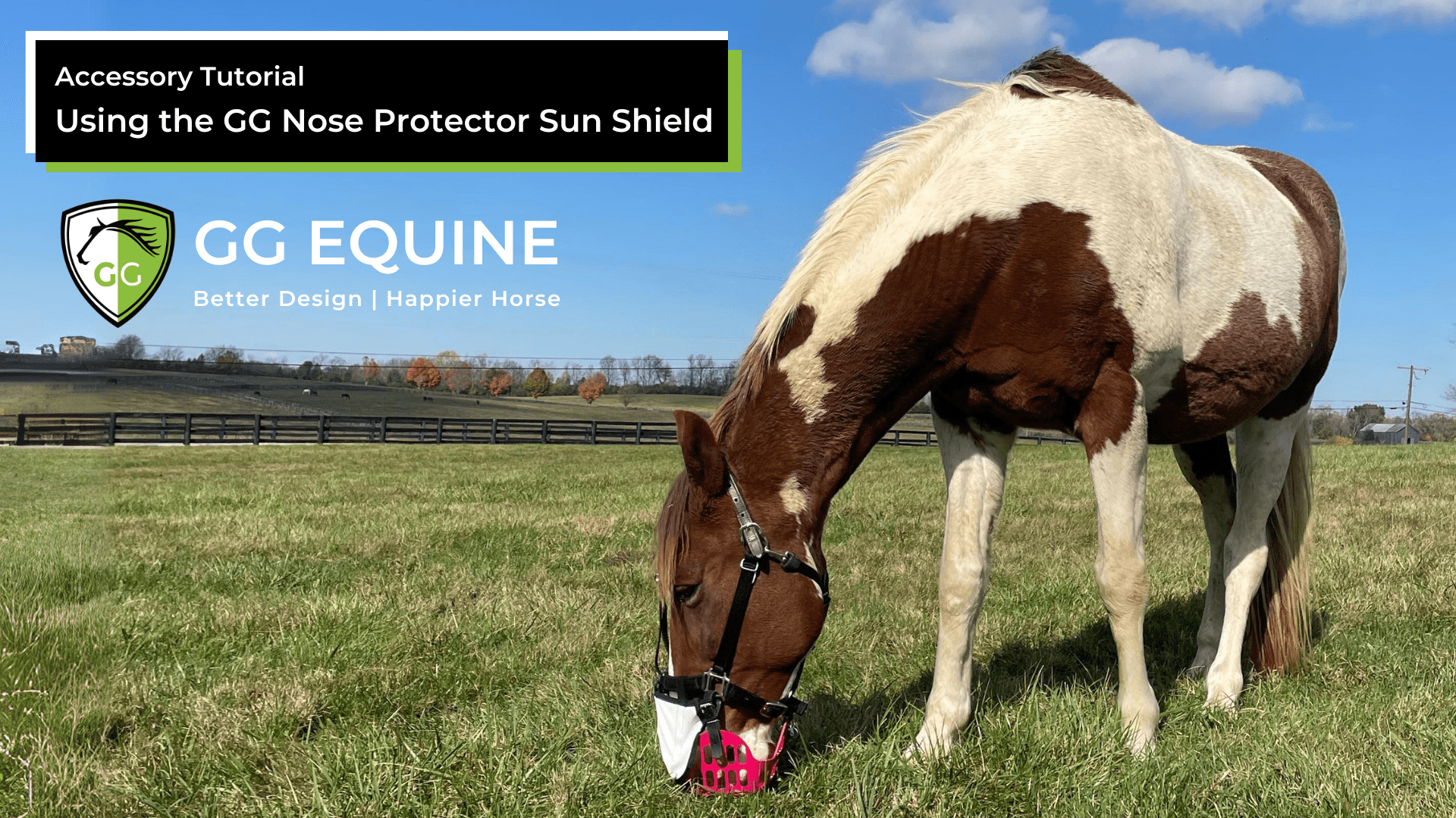 Laden Sie das Video: Introducing the GG Nose Protector Sun Shield, to help horses with sensitive skin and safeguard against dew poisoning.