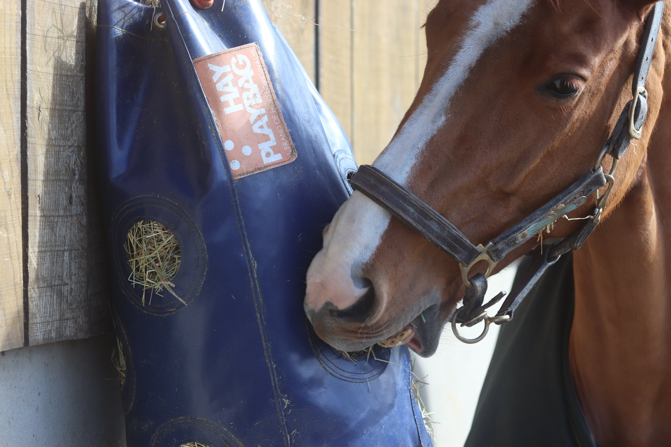 HayPlay Slow Feed Bag