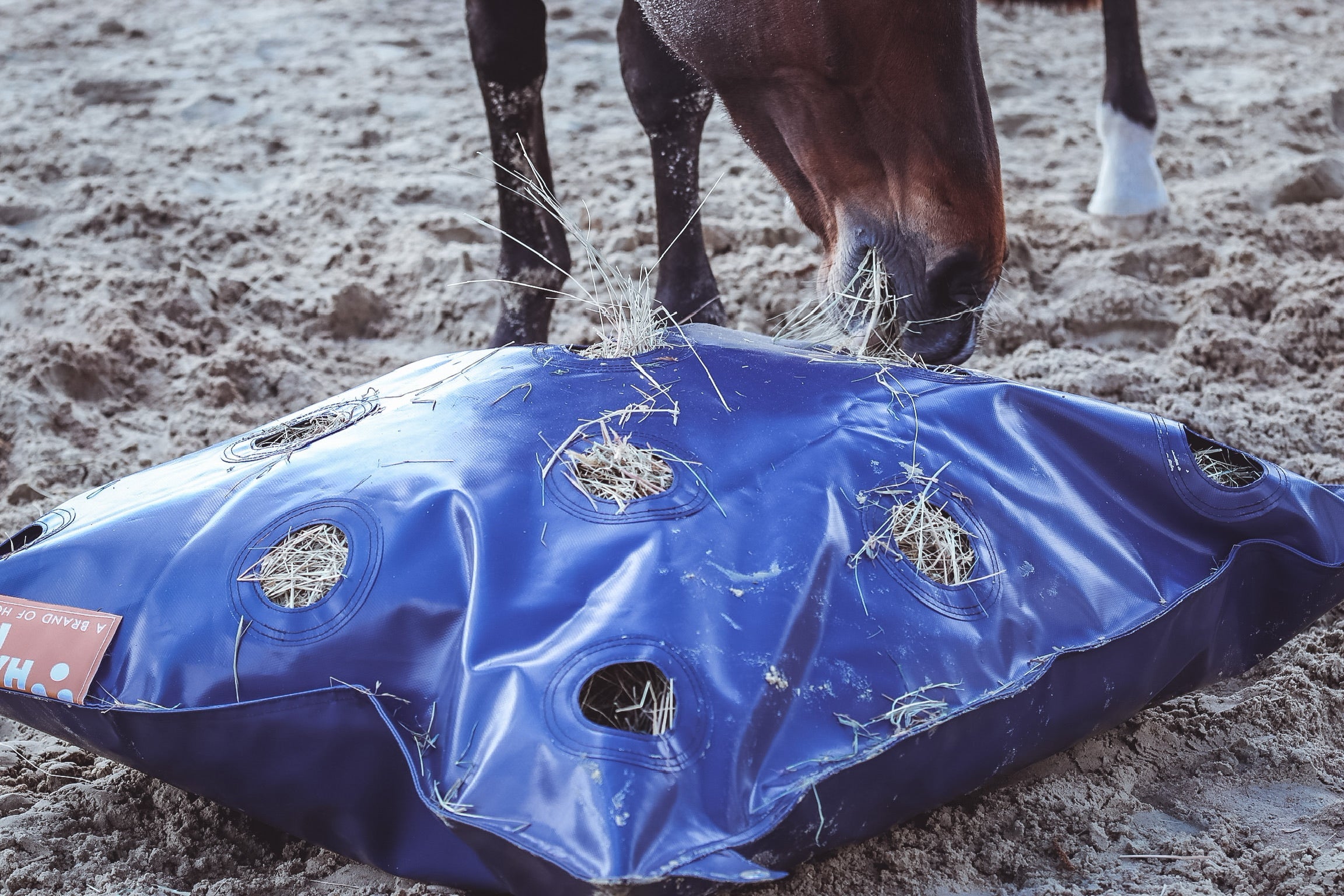 Oreiller HayPlay XL à alimentation lente – GG Equine