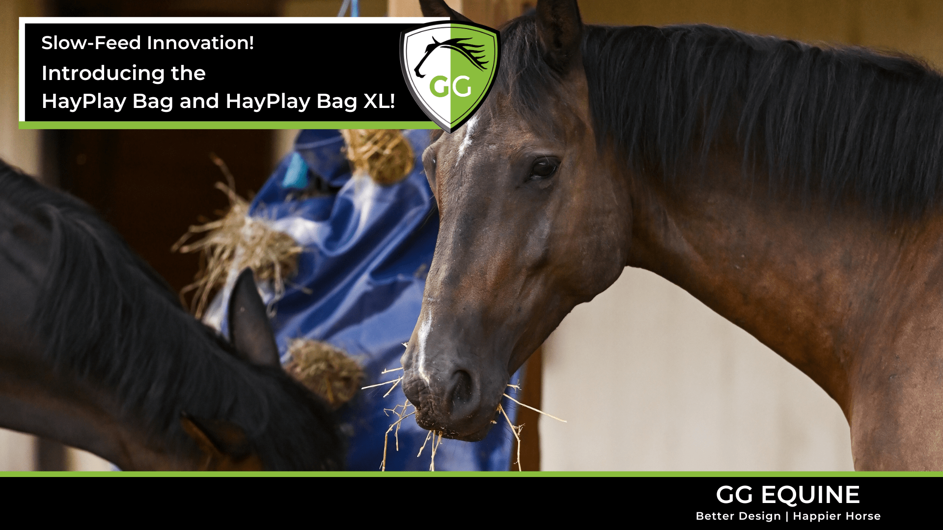 Load video: An introductory look at the features of the HayPlay Bag slow-feeder for horses.