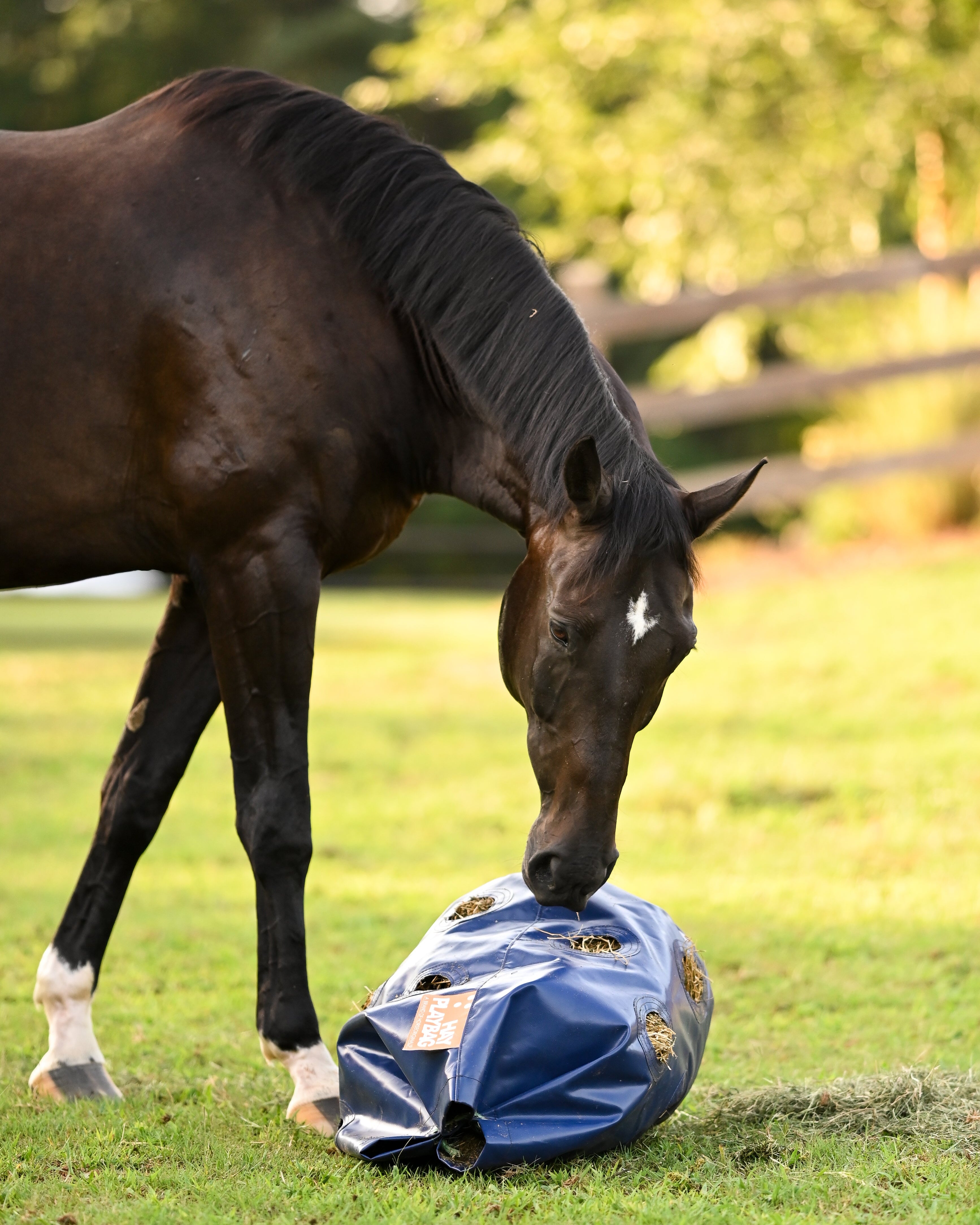 HayPlay Slow-Feed Tie Bag