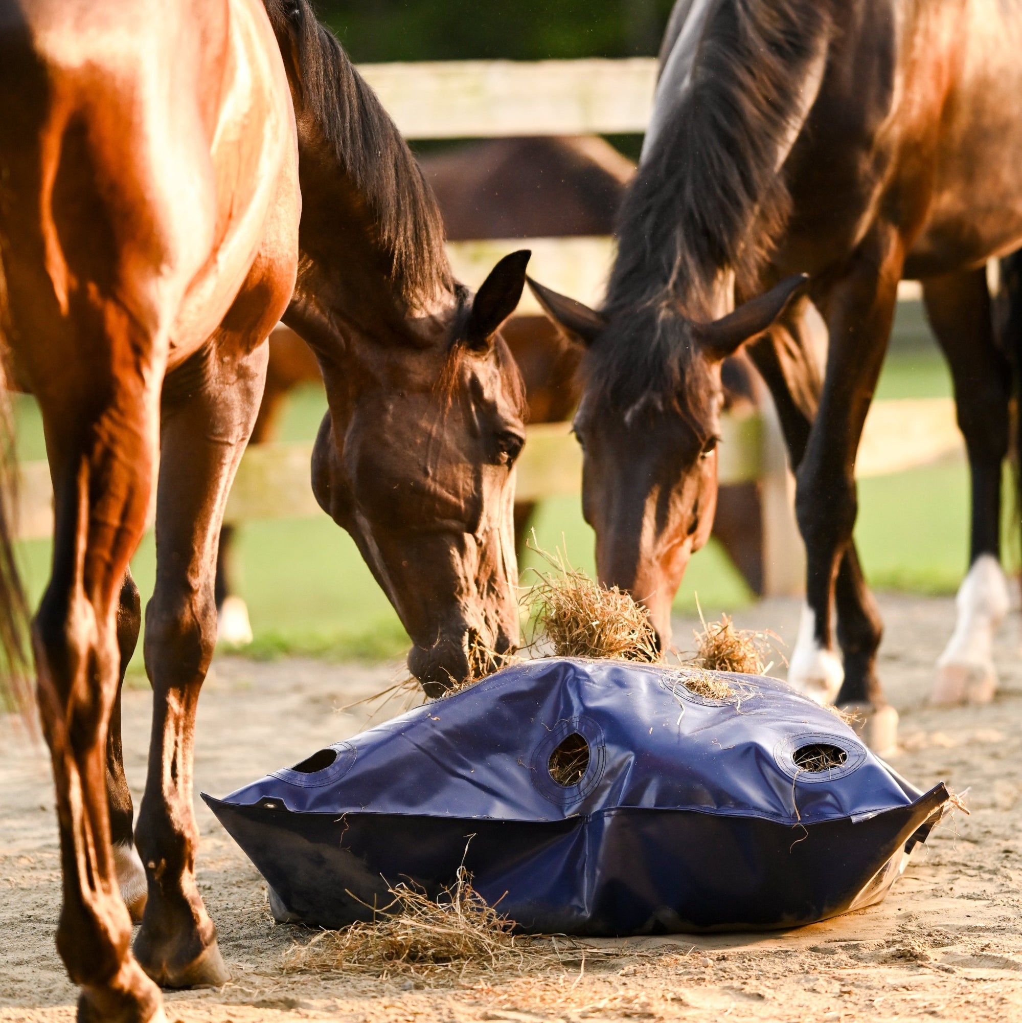 HayPlay Slow-Feed Zip Bag