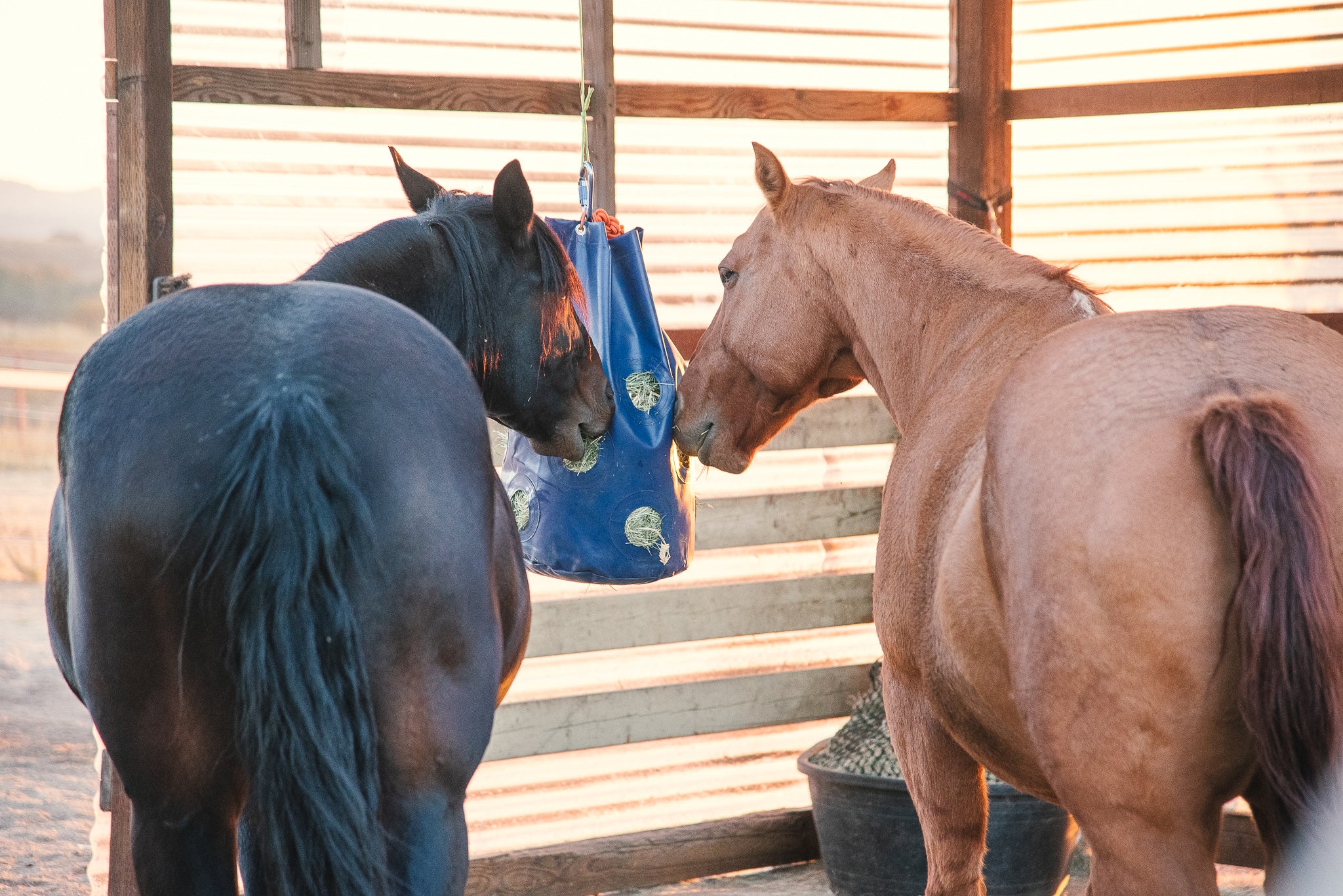 HayPlay Slow-Feed Tie Bag