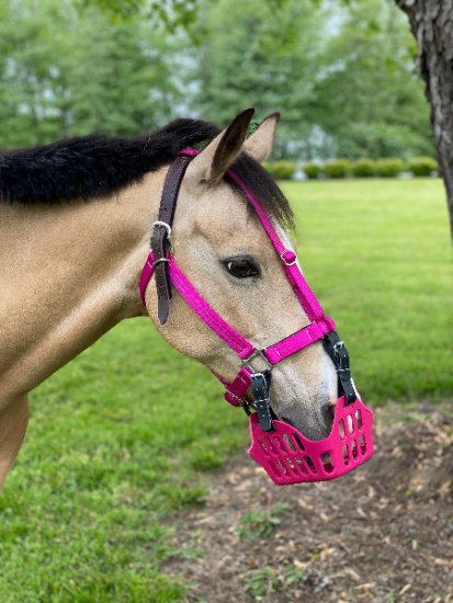 Premium Breakaway Halter - CLOSEOUT