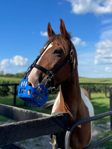 horse gear filzgurt Breakaway Halter