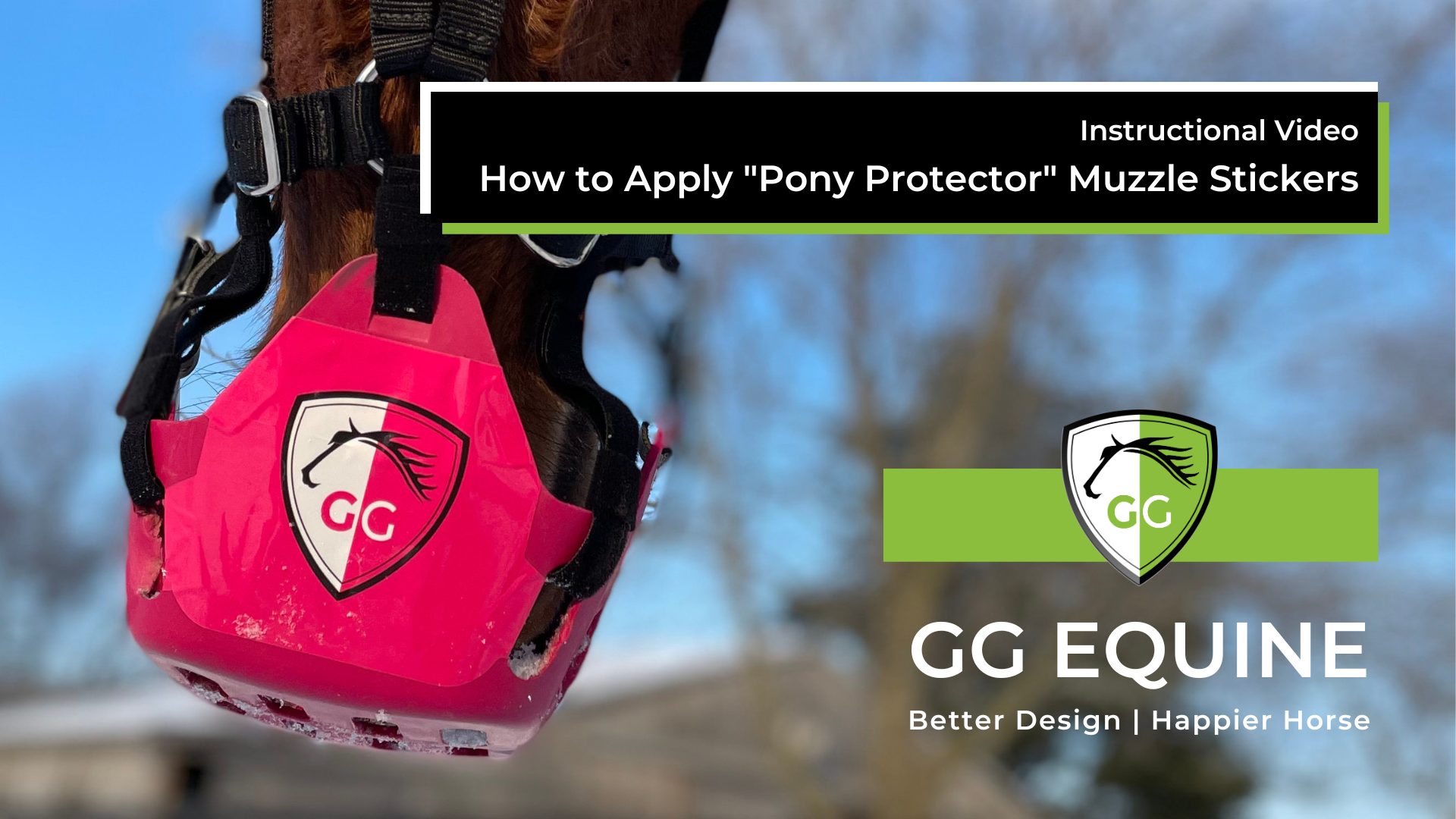 Load video: Full tutorial and instruction video for the GG Pony Protector Muzzle Stickers