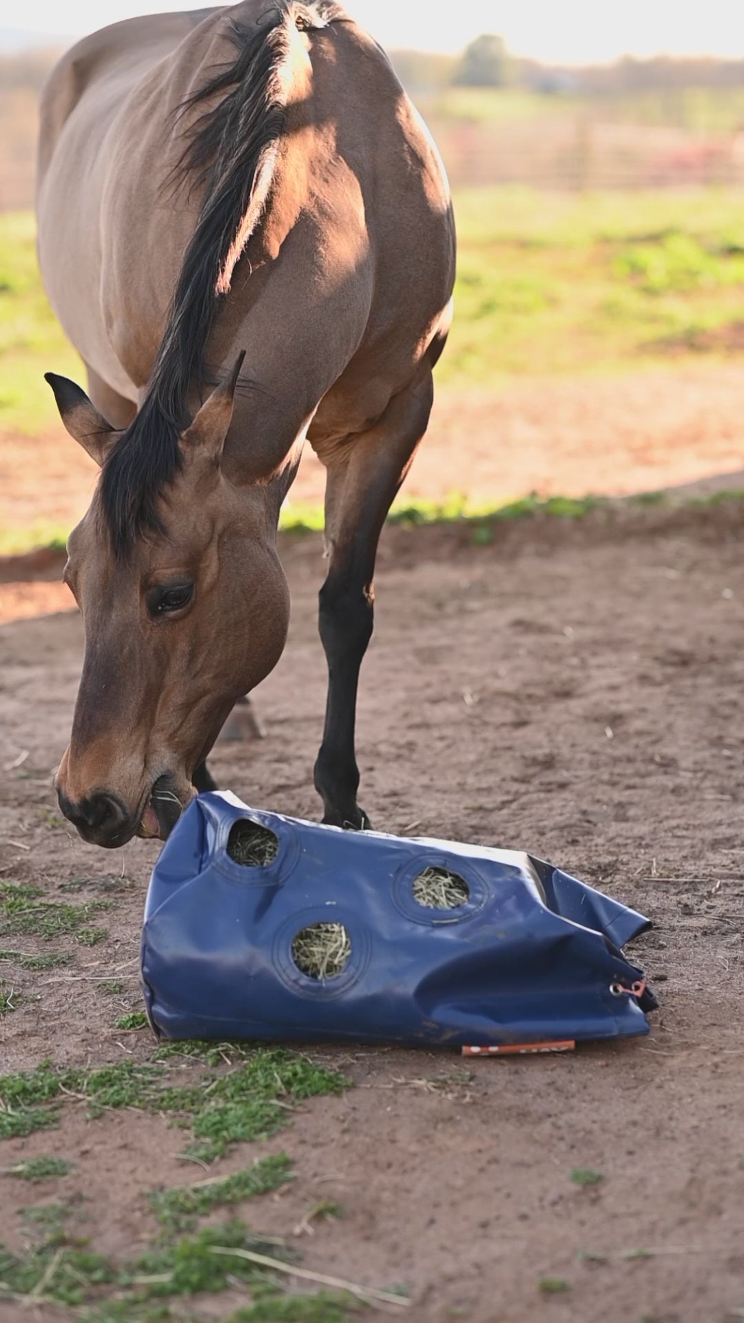 Slow feed hay bag for ground feeding