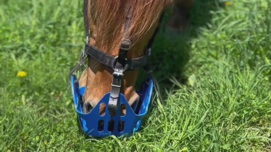 Watch the GreenGuard muzzle in action