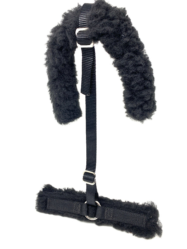 A nylon strap. At one end, a horse halter crownpiece covered in a fleece lining. At the other, a fleece noseband cover.