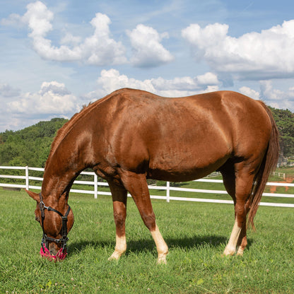 GreenGuard Grazing Muzzle