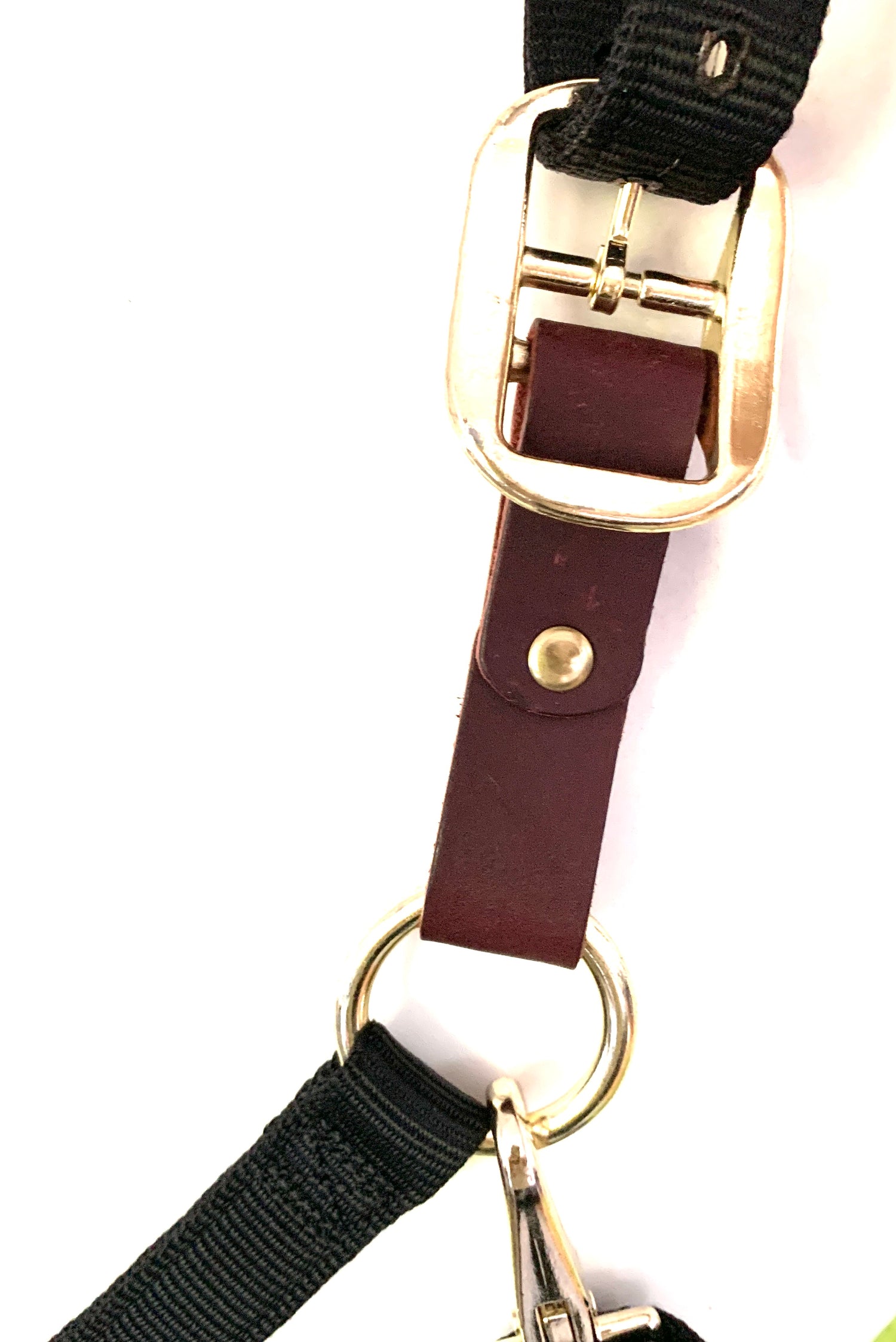 Leather Breakaway for Non-GG Halters