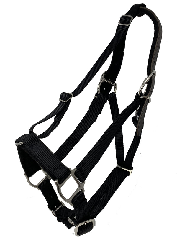A black horse halter hanging against a nondescript background.